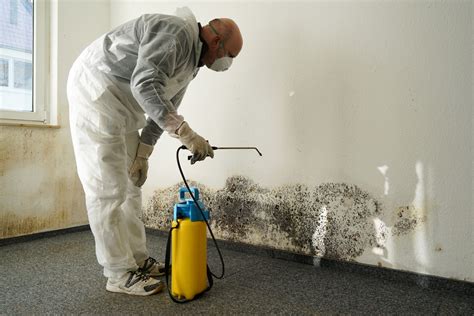 does paint kill mold does paint prevent mold growth?