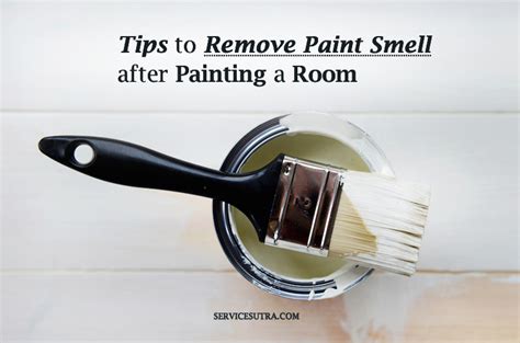 how to get paint smell out of room: why does paint smell linger even after painting?